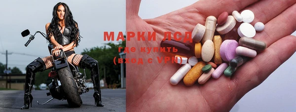 спиды Богородицк