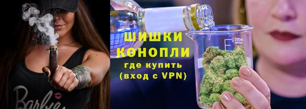 тгк Богданович