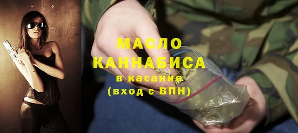 спиды Богородицк