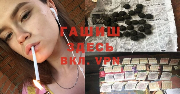 спиды Богородицк