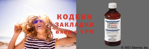 спиды Богородицк