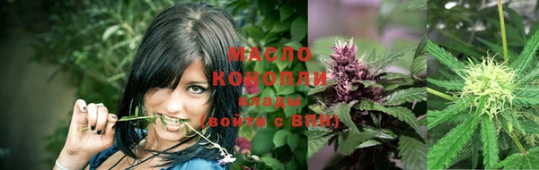 тгк Богданович